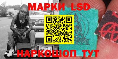 прущие грибы Можайск