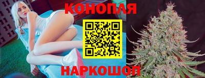прущие грибы Можайск