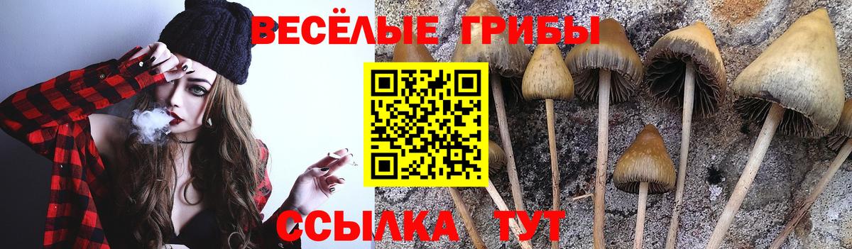 Галлюциногенные грибы мухоморы  Вход с VPN  Великий Новгород 