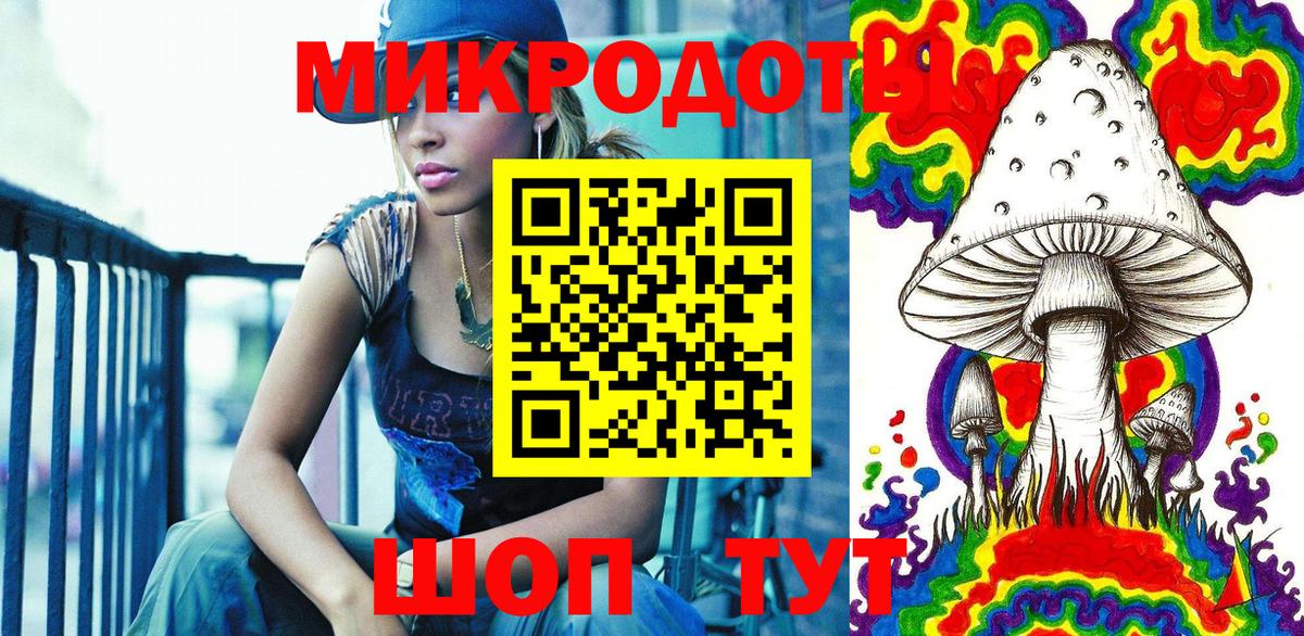 Галлюциногенные грибы Psilocybine cubensis Великий Новгород